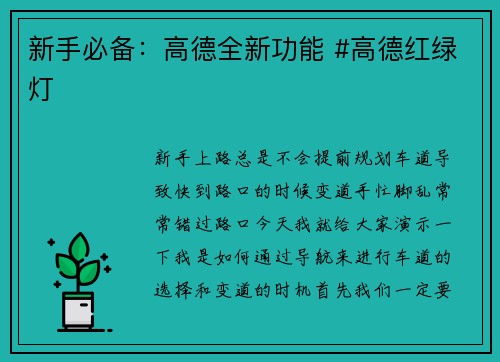 新手必备：高德全新功能 #高德红绿灯
