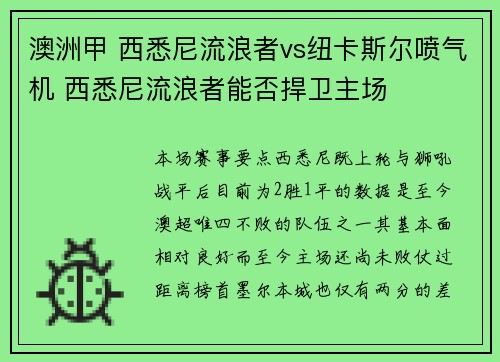 澳洲甲 西悉尼流浪者vs纽卡斯尔喷气机 西悉尼流浪者能否捍卫主场